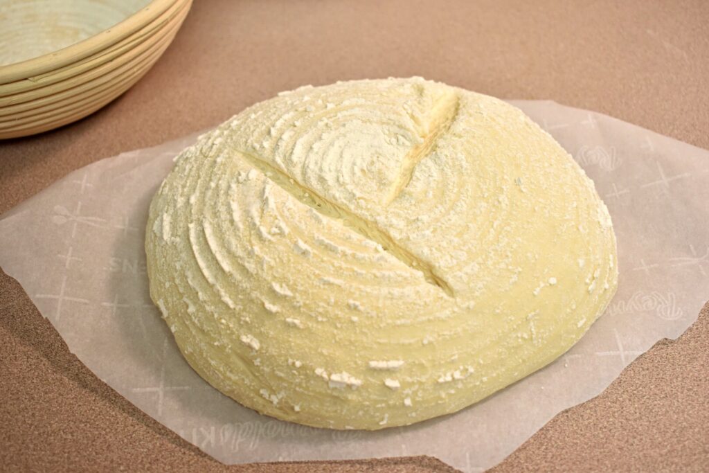 scored raw sourdough on parchment paper