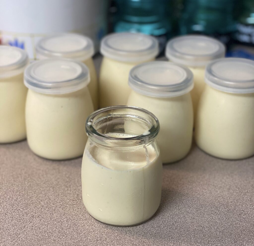 eight small glass jars with plastic tops and greek yogurt inside