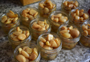 close up of garlic confit in twelve small mason jars on counter