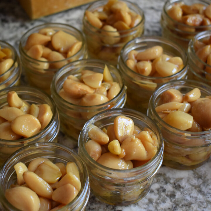 close up of garlic confit in twelve small mason jars on counter